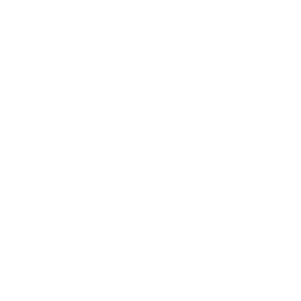 Websy Logo